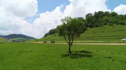 4k绿色关山草原