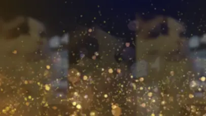 亚瑟点心-布偶猫亚瑟