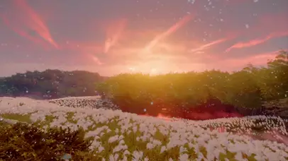 日落温柔人间浪漫治愈系