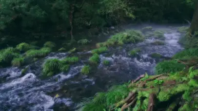 4K治愈小溪流