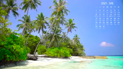 3月日历椰树海滩