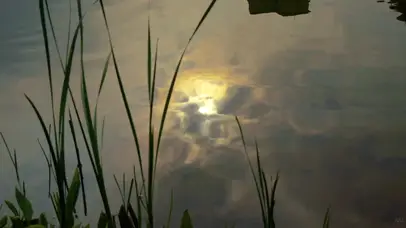 4K夜晚水中倒影的月亮