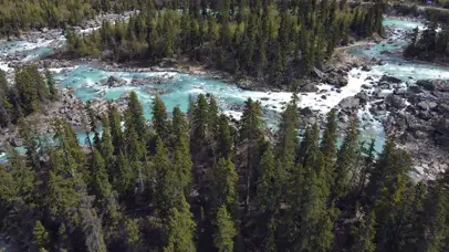 4K森林小溪天然碧绿流水