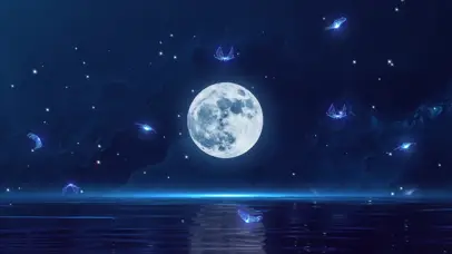 浪漫夜晚