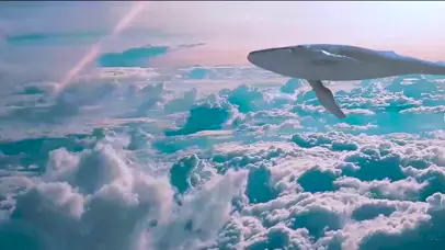 翱翔的鲸鱼