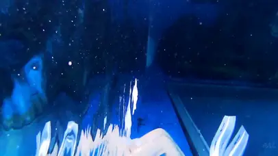 海底的世界