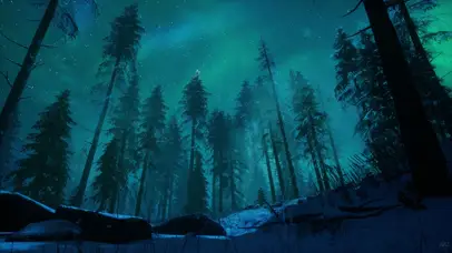 Aurora极光森林