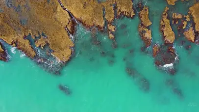 护眼浅浪