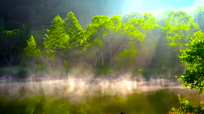 2k护眼雾气湖面森林