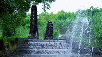 4K公园河流