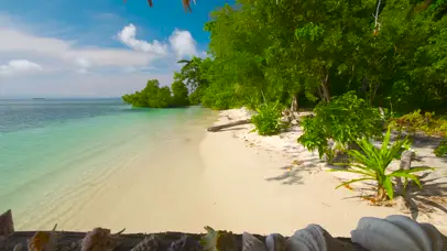 4K夏日海滩贝壳店