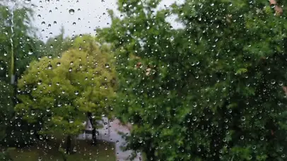 雨窗