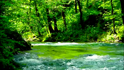 护眼夏日绿林流水