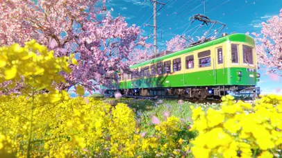 治愈樱花列车