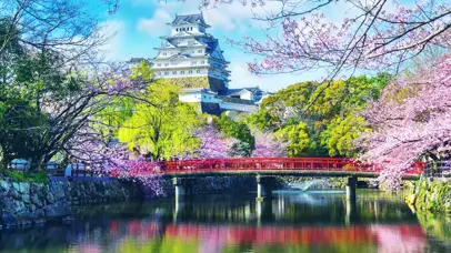 樱花公园