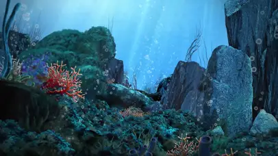 海底世界水泡泡