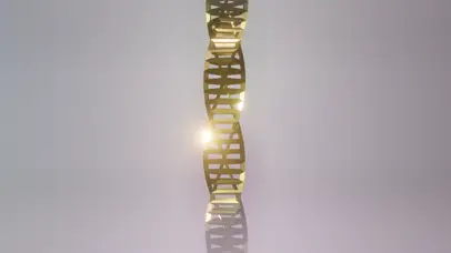 DNA