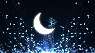 唯美月光