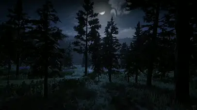 星空明月凄凉黑夜