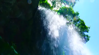 森林瀑布鸟鸣声 