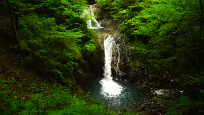 4K新绿森林瀑布