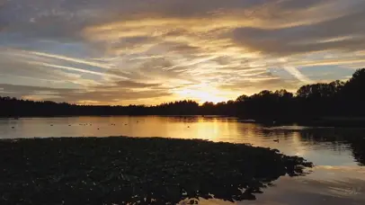 鹿湖上美丽的日落