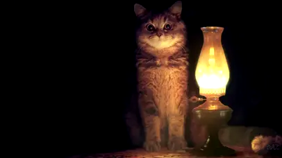 油灯与猫