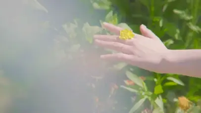 宇宙少女19年特别专辑秘密电影