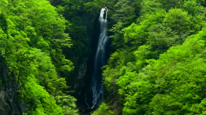 治愈系绿色瀑布4K