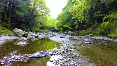 山涧小溪流水