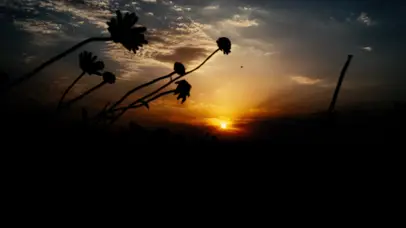 4k唯美夕阳下山