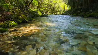 绿林山涧流水
