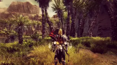 GW2 Oasis