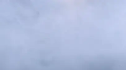 天涯明月刀 