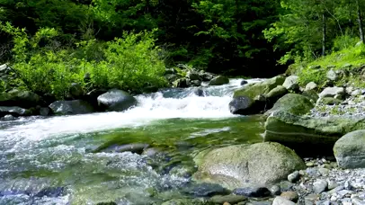 溪水流动
