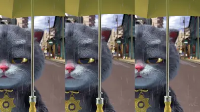 斑布猫-雨后彩虹