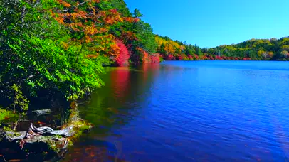 4k 紅葉の秋湖