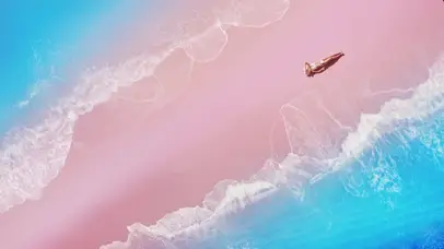 美丽的粉红色玫瑰沙滩