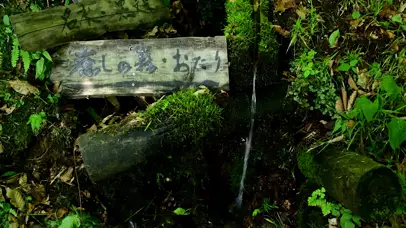 唯美山中绿色温泉