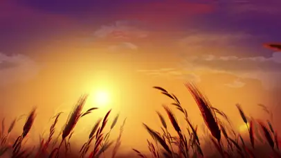 天空下的金色麦田