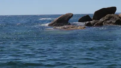 4k海面护眼屏保