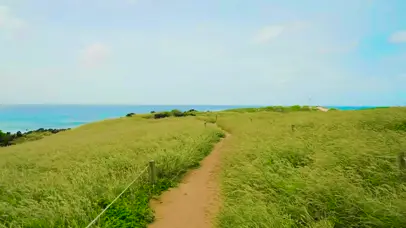 海岸放松蓝天野草