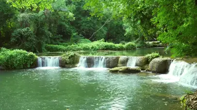 森林溪流