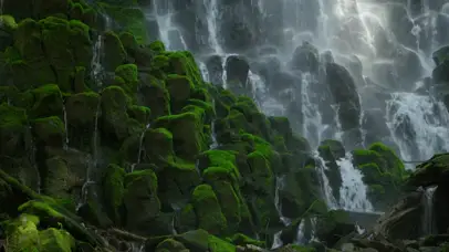 长满青苔的瀑布