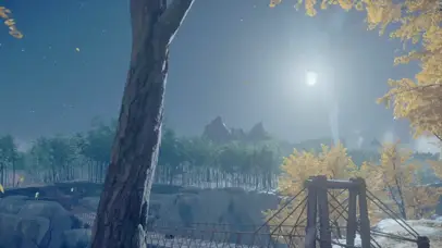 秋天落叶月明星稀夜晚