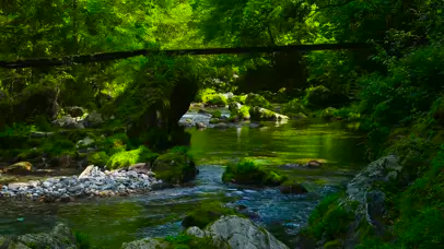4k山涧小溪流水