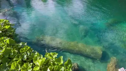 流水声