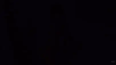 花会再开夏天它来了又来-一直丸