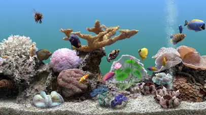 护眼珊瑚水族箱带鱼屛