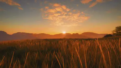 草原日落